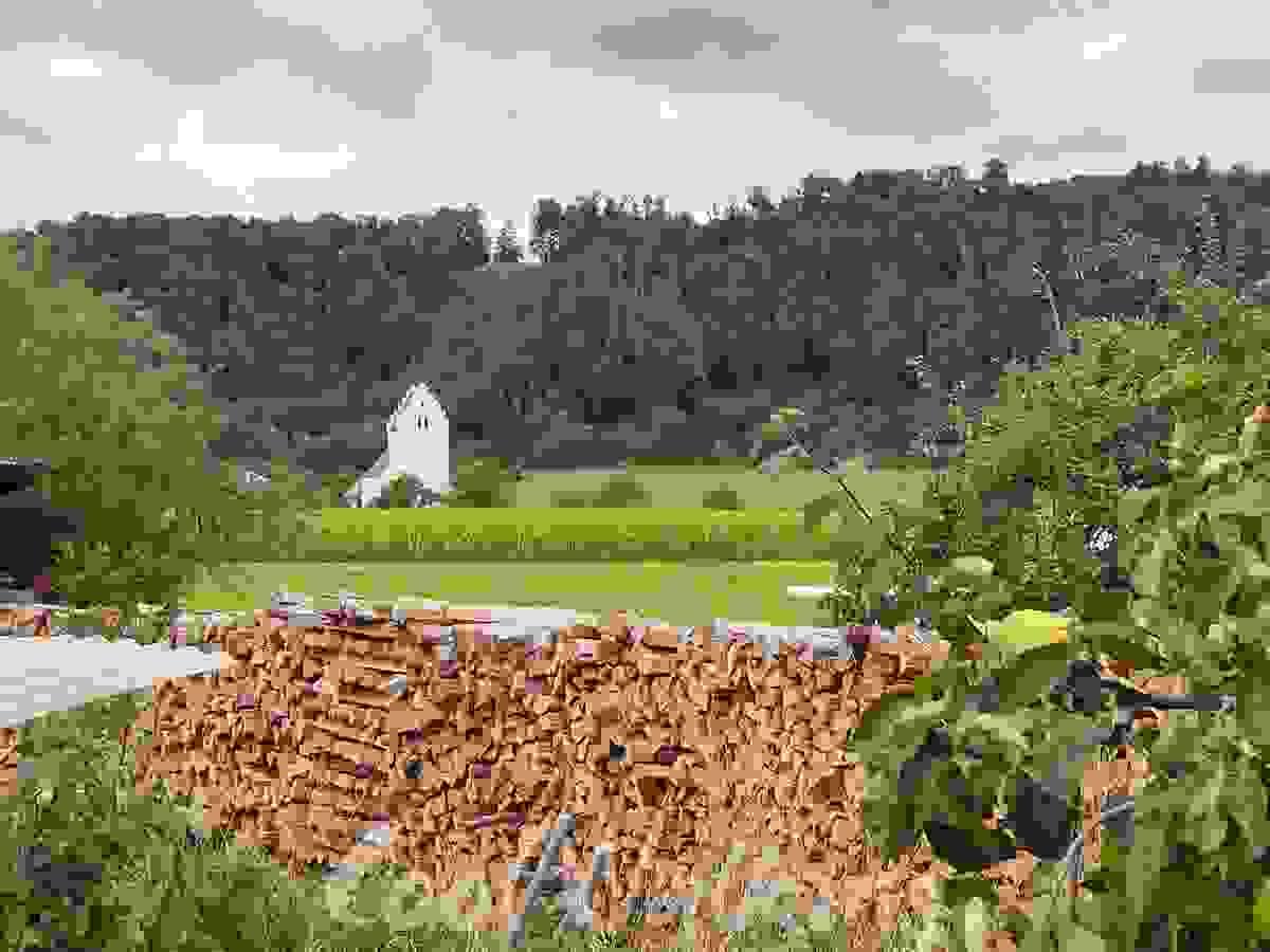 Section image
