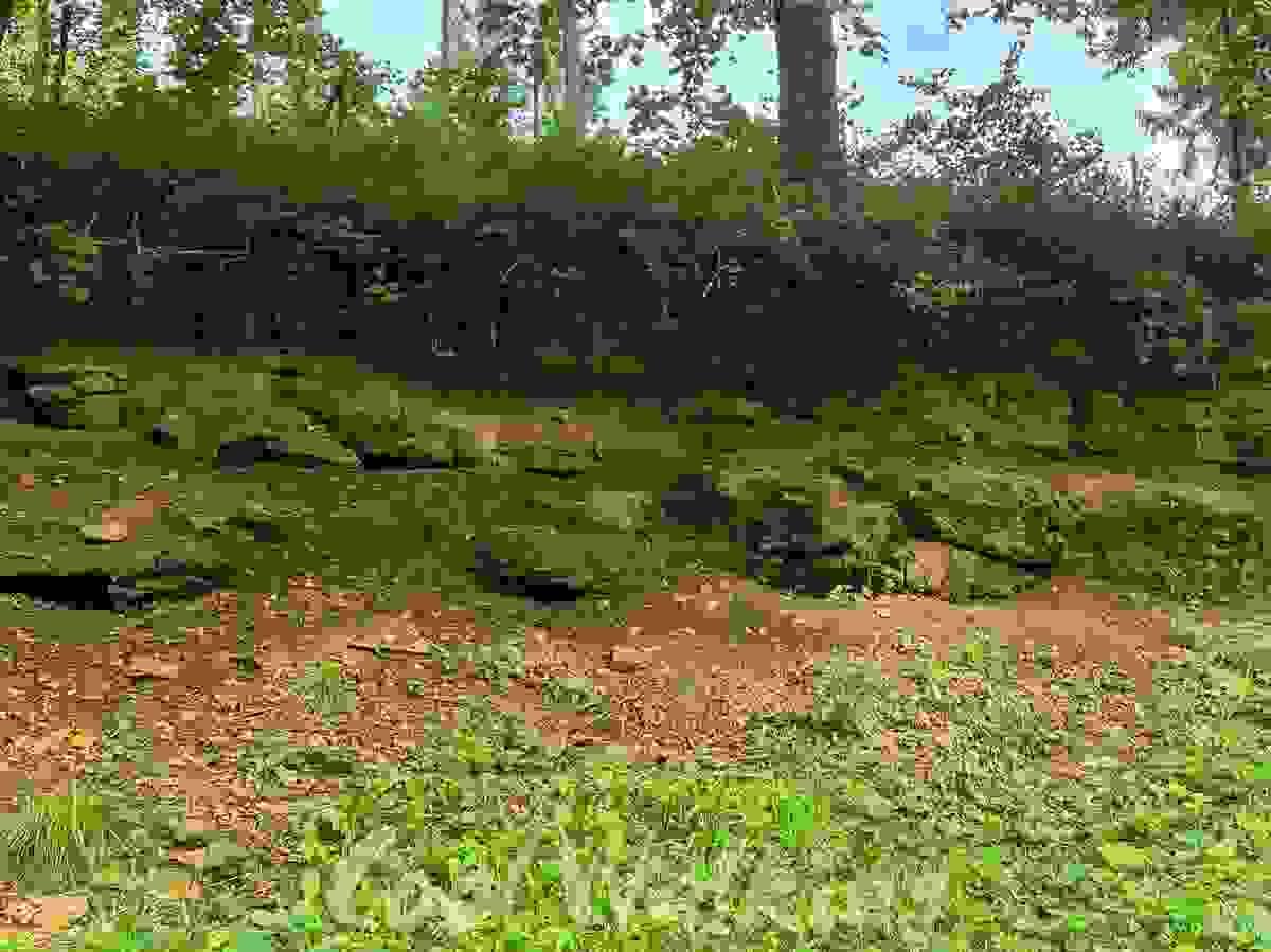 Section image