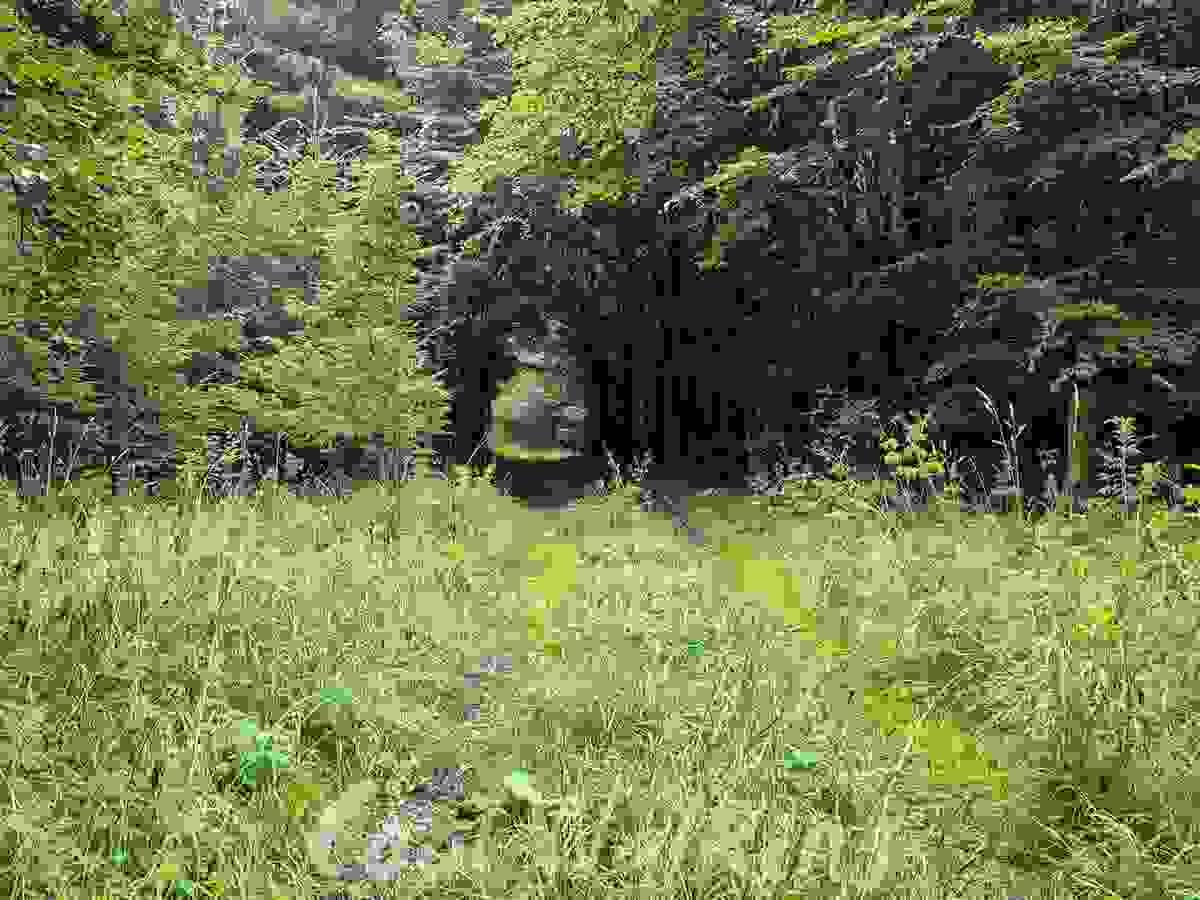 Section image