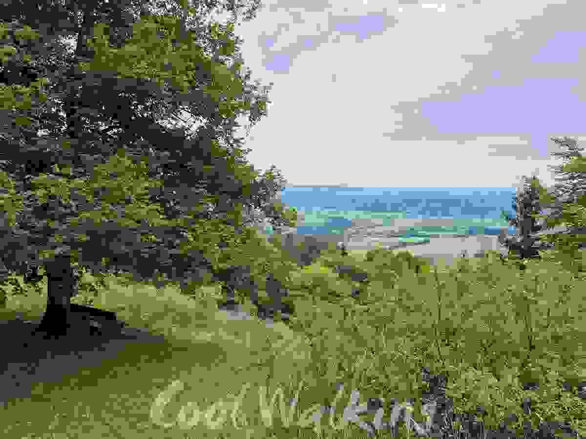Section image