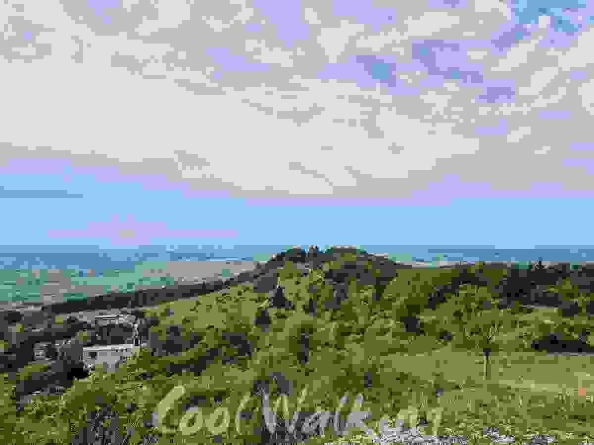 Section image