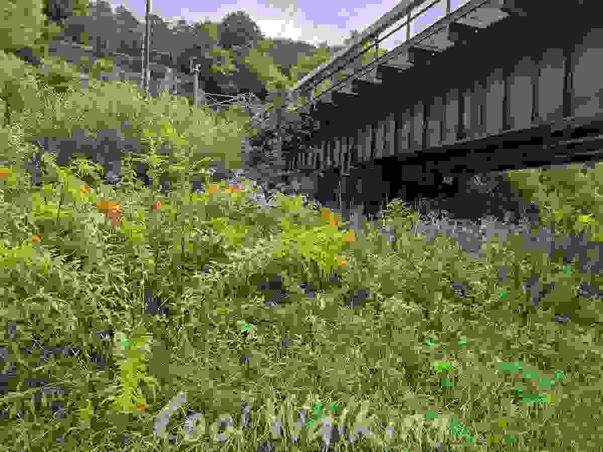 Section image