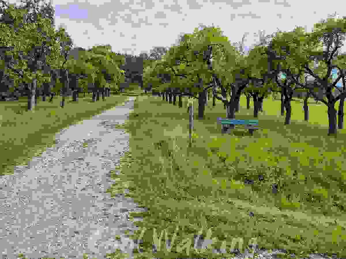 Section image
