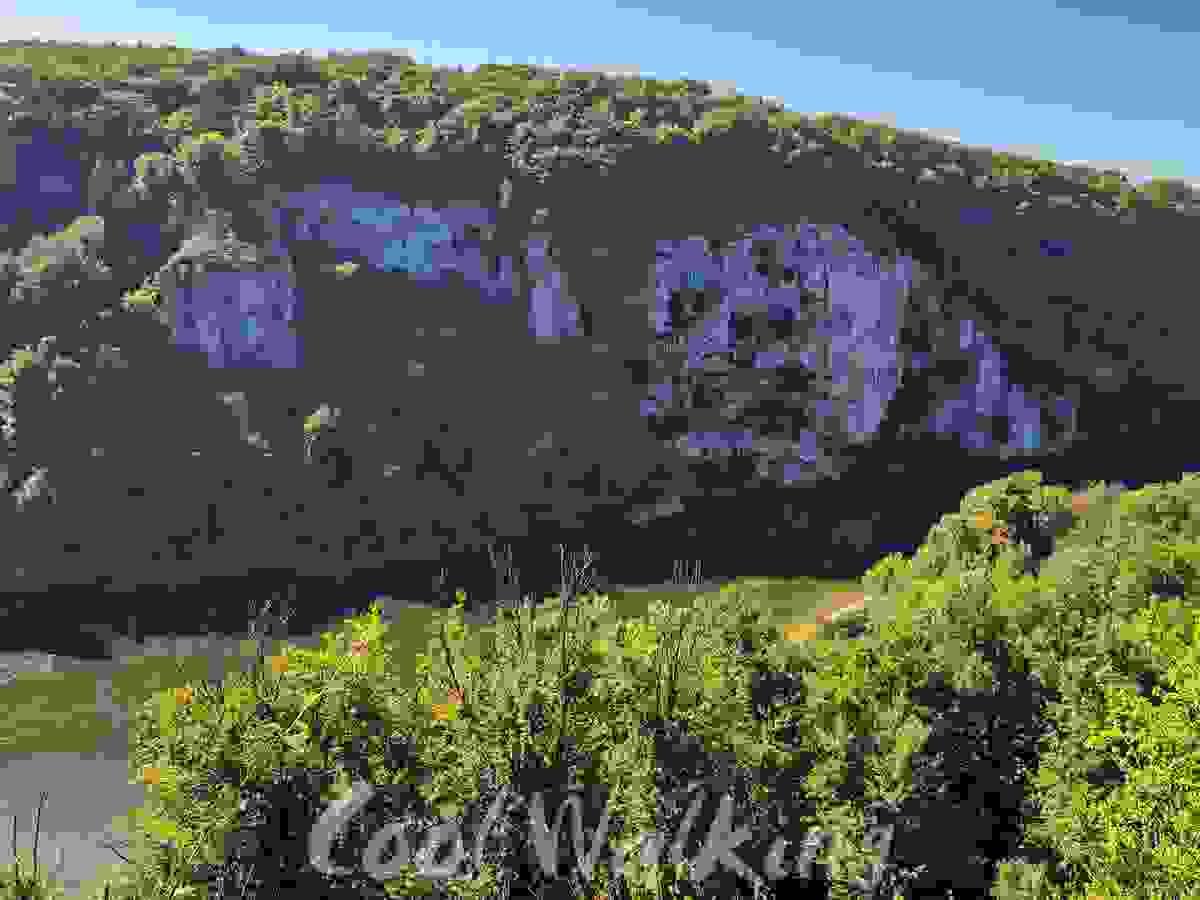 Section image