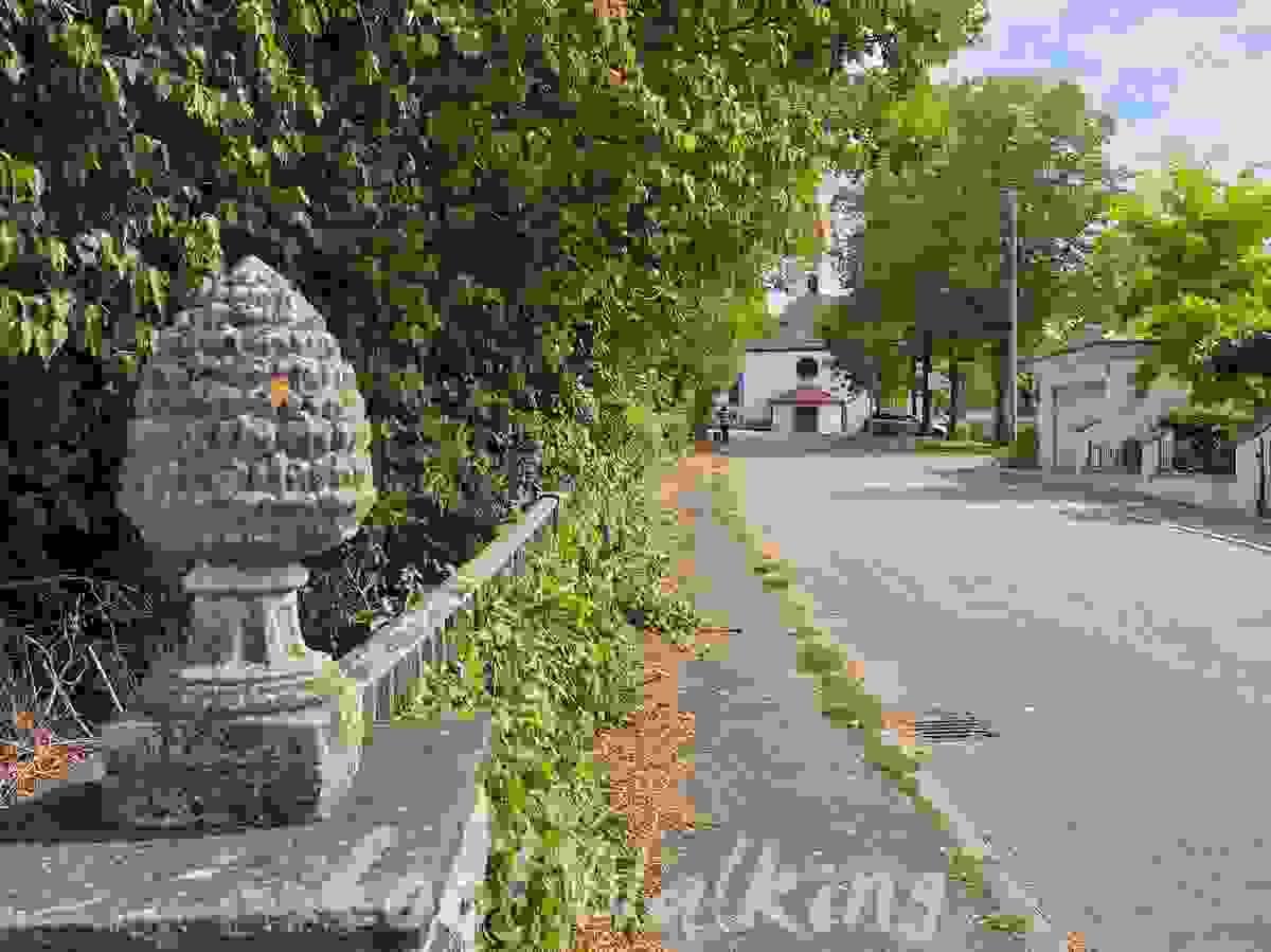 Section image