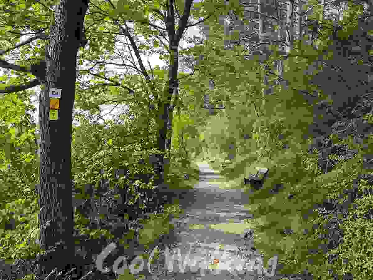 Section image