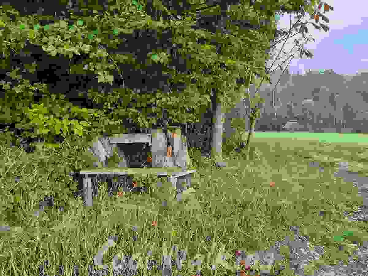 Section image