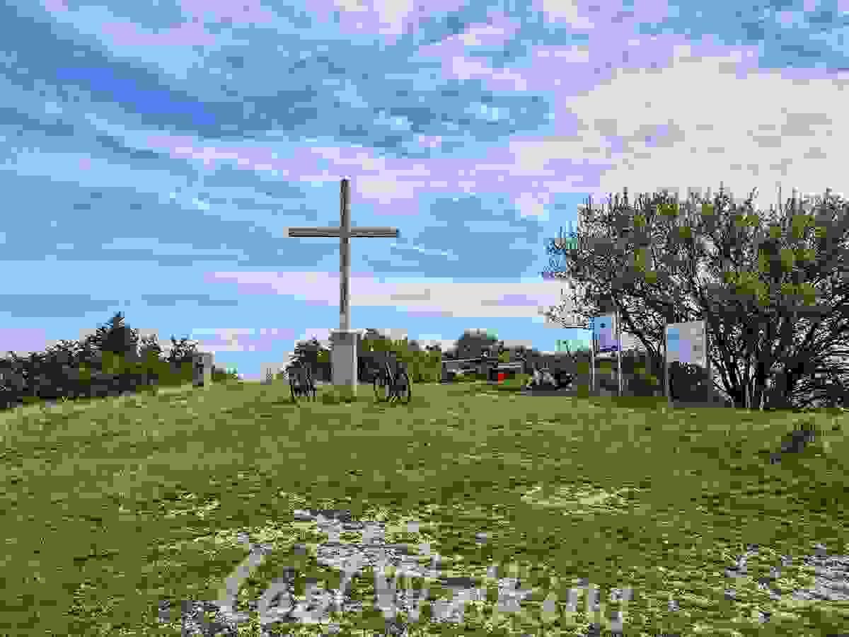Section image
