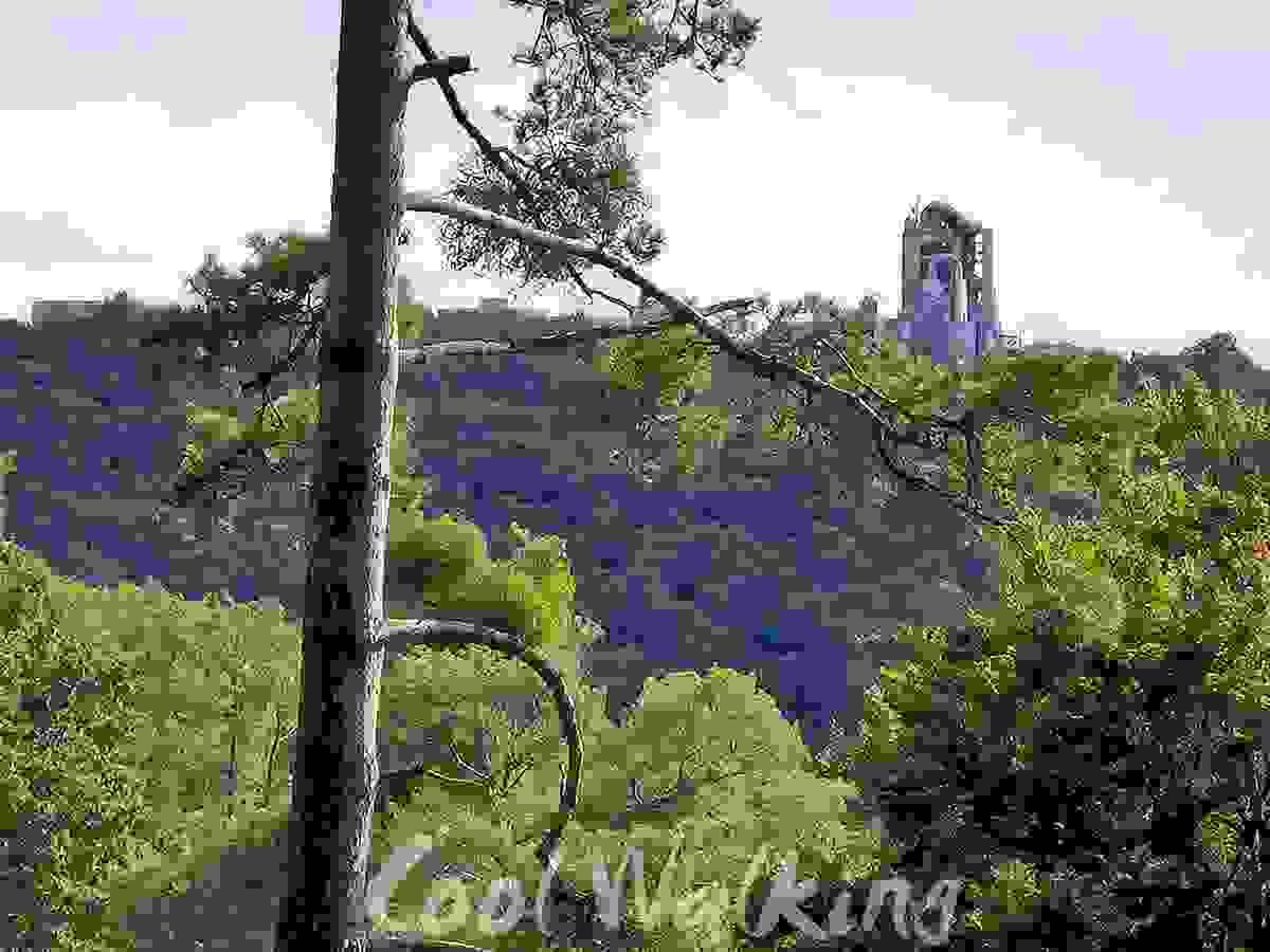 Section image