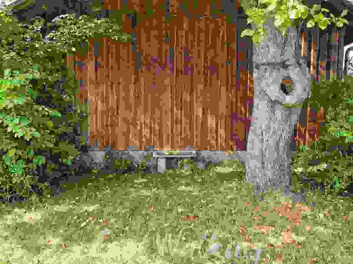 Section image