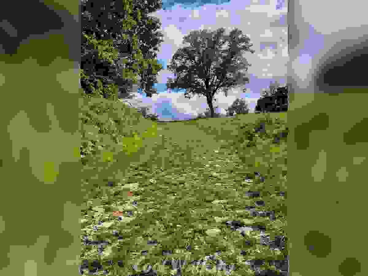 Section image