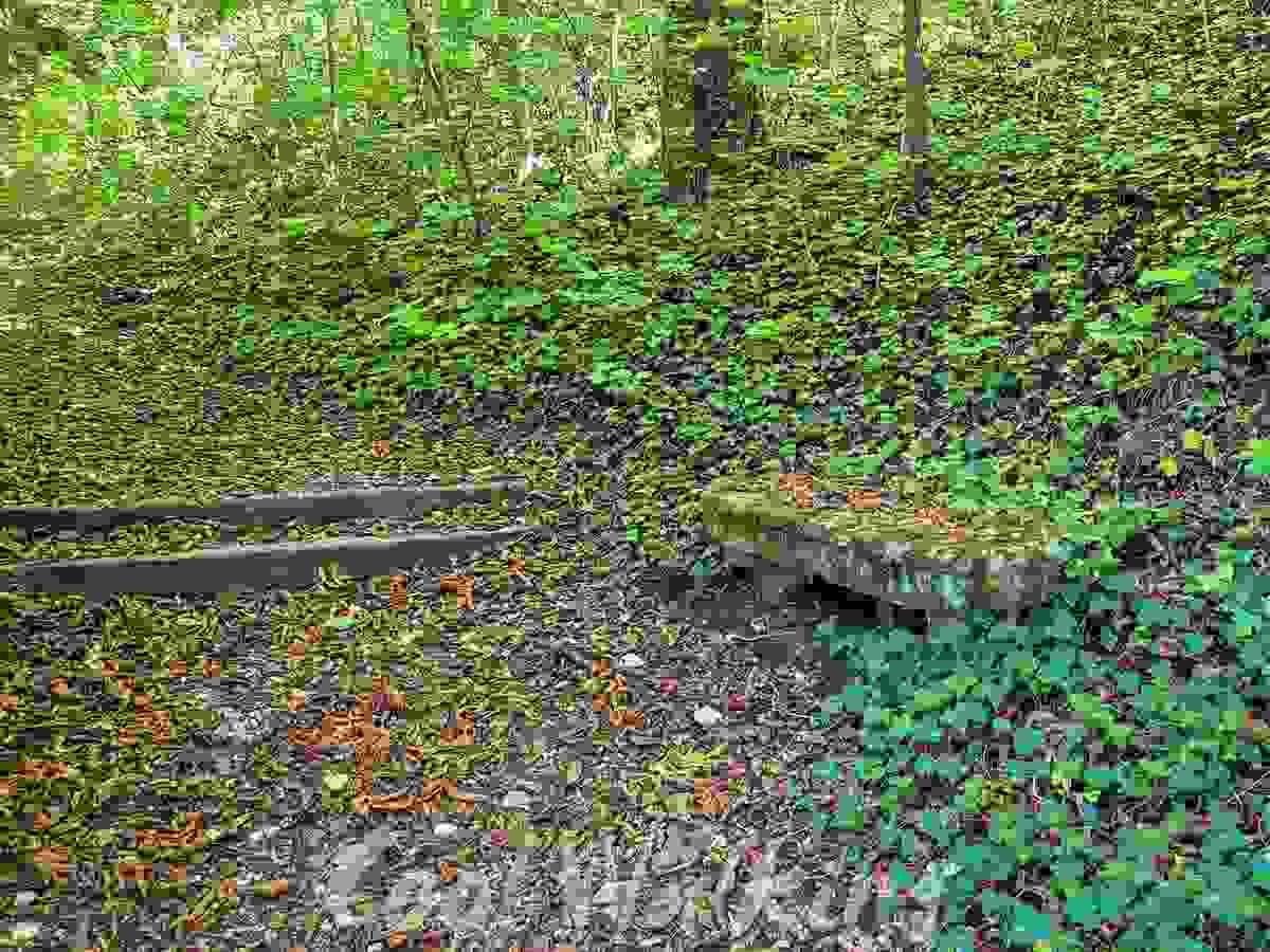 Section image