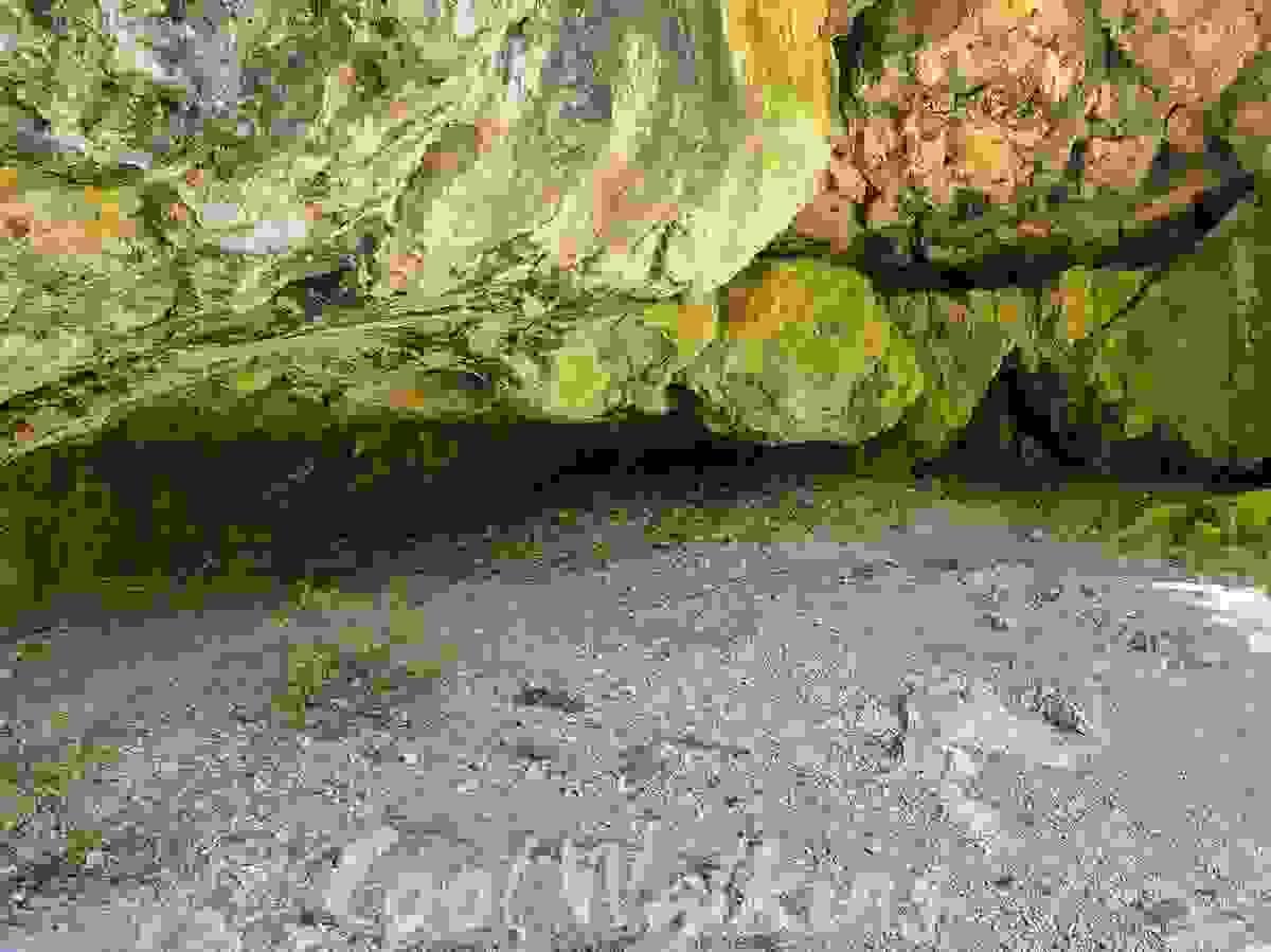 Section image
