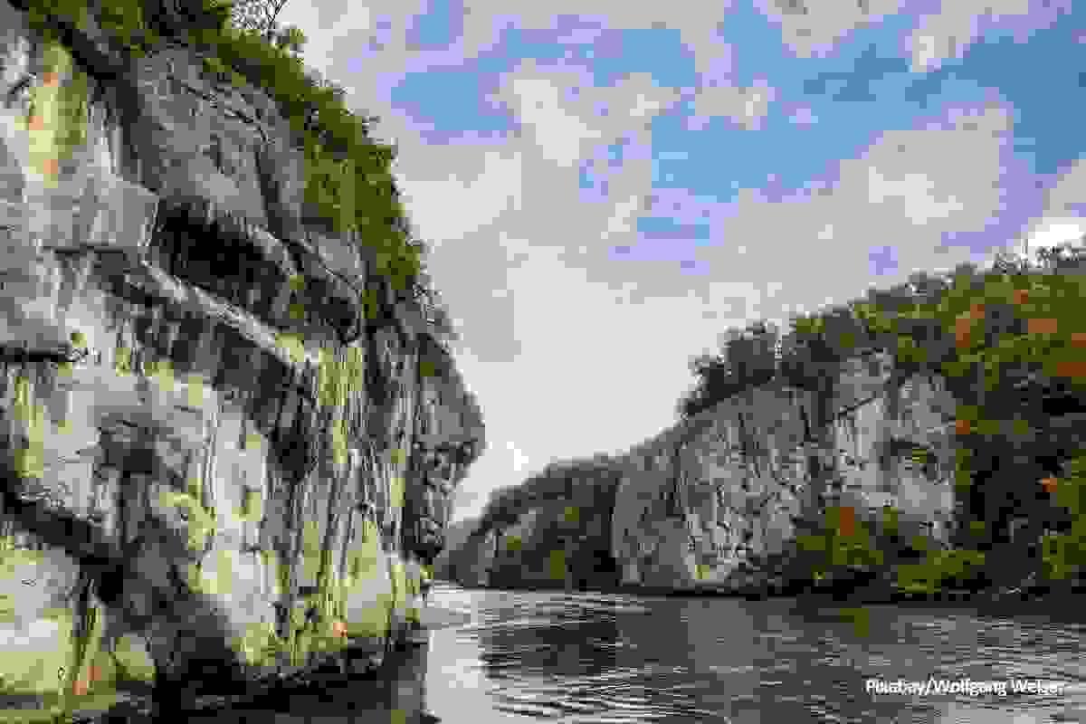 Section image