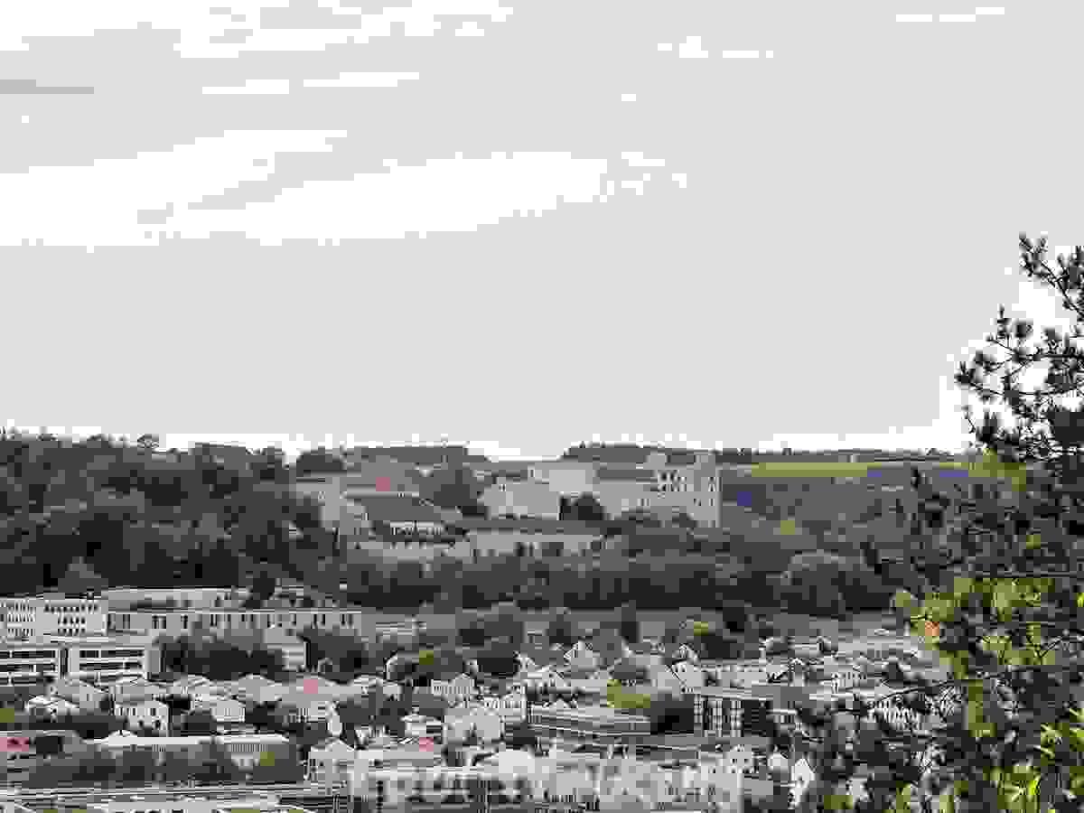 Section image