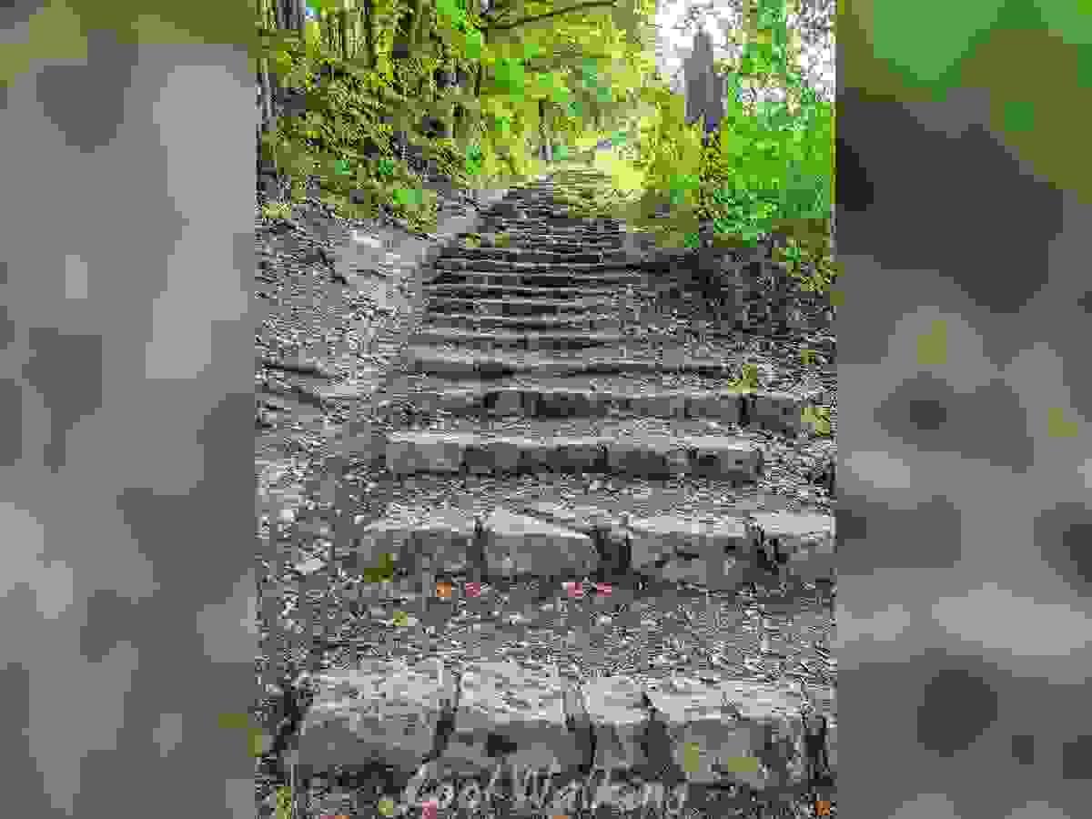 Section image
