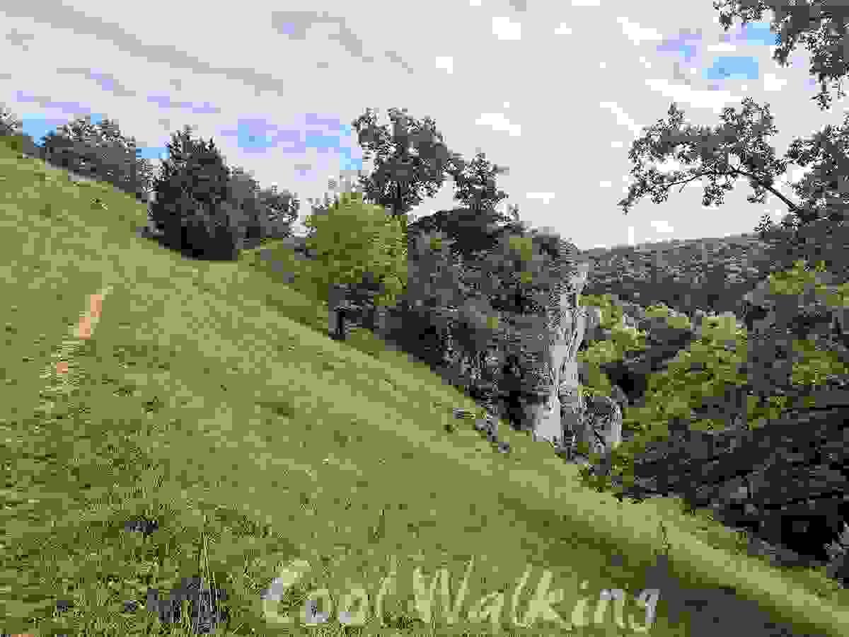 Section image