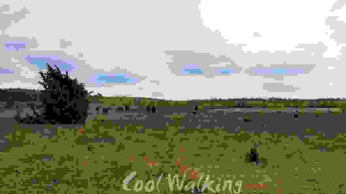 Fernwanderweg E1 Niedersachsen, Heidschnuckenweg, Heide, Cool Walking
