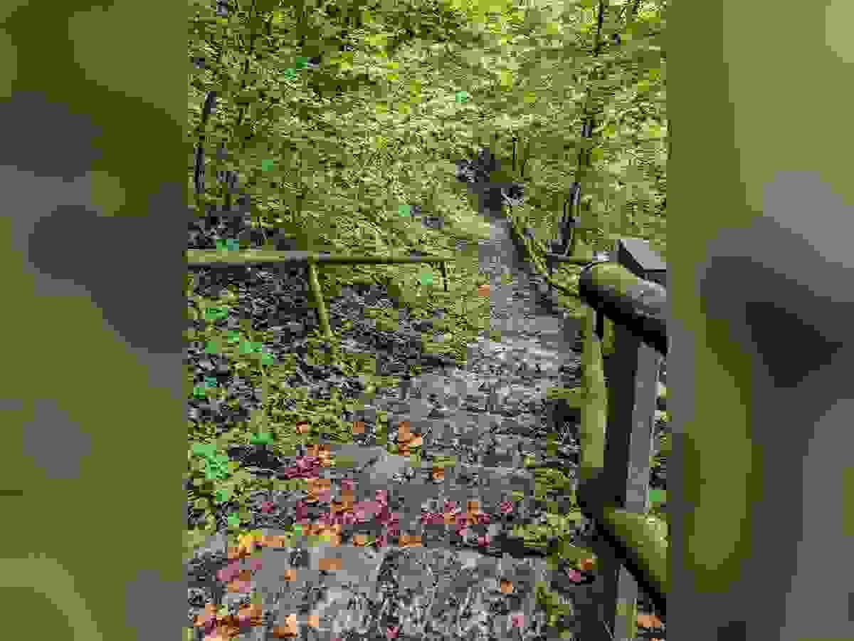 Section image