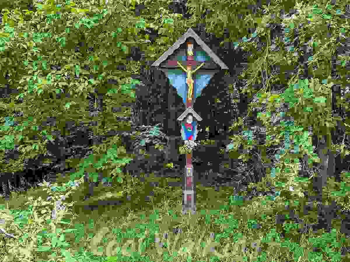 Section image