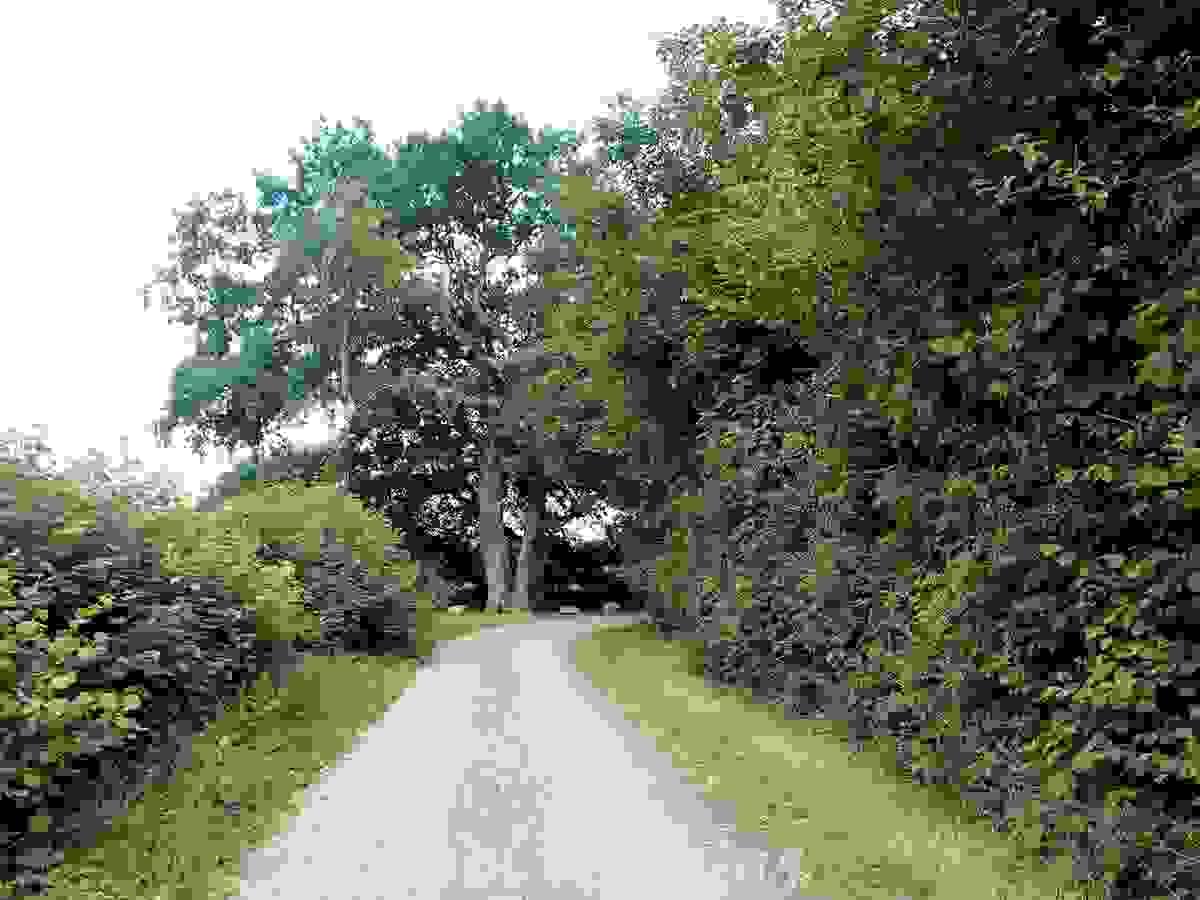 Section image