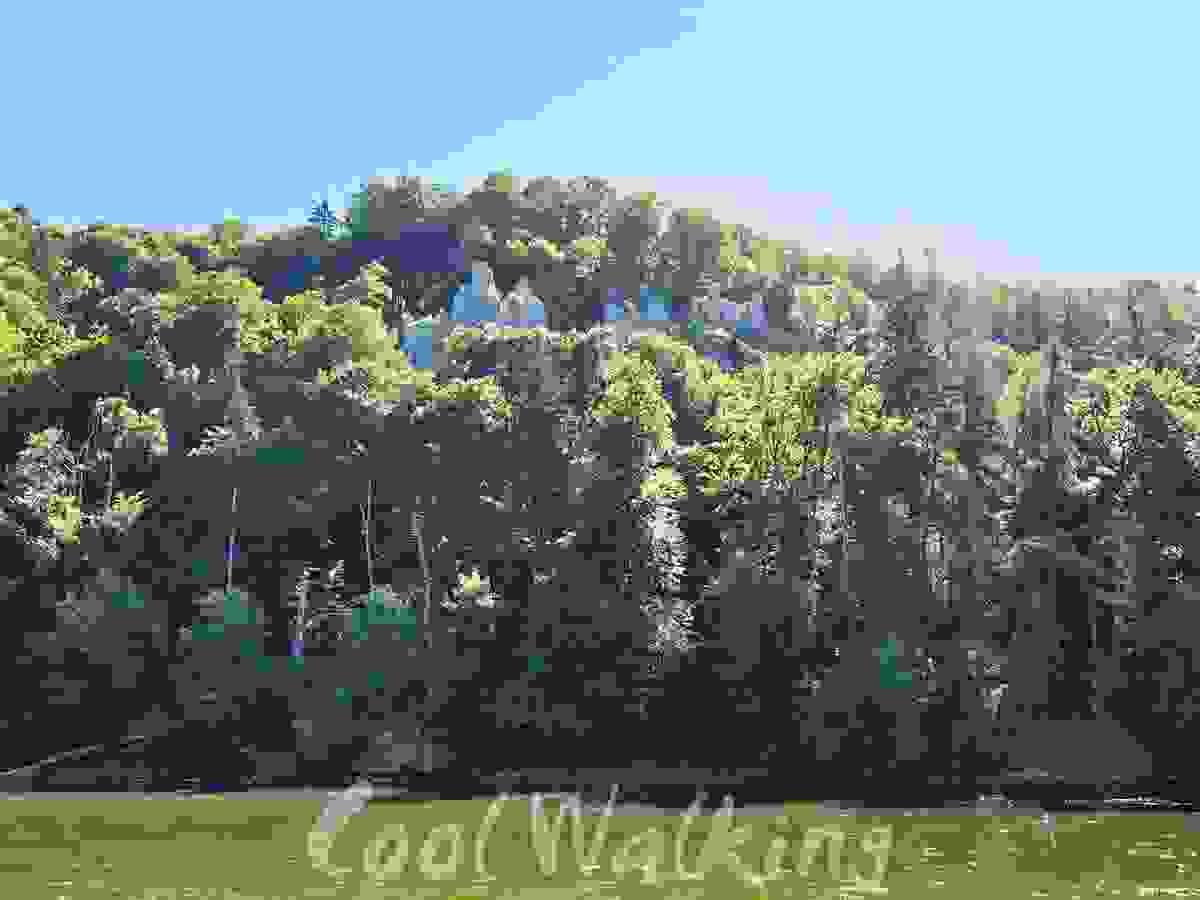 Section image