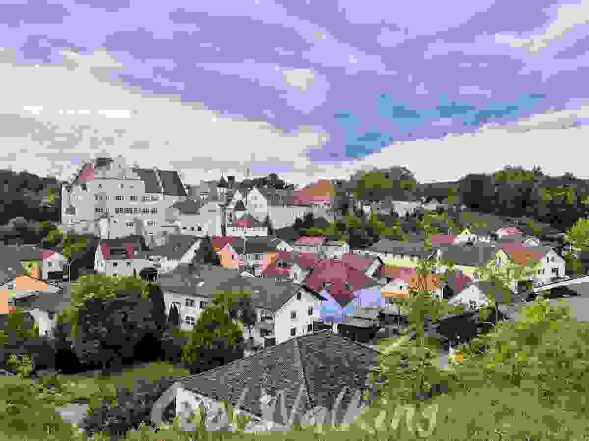 Section image