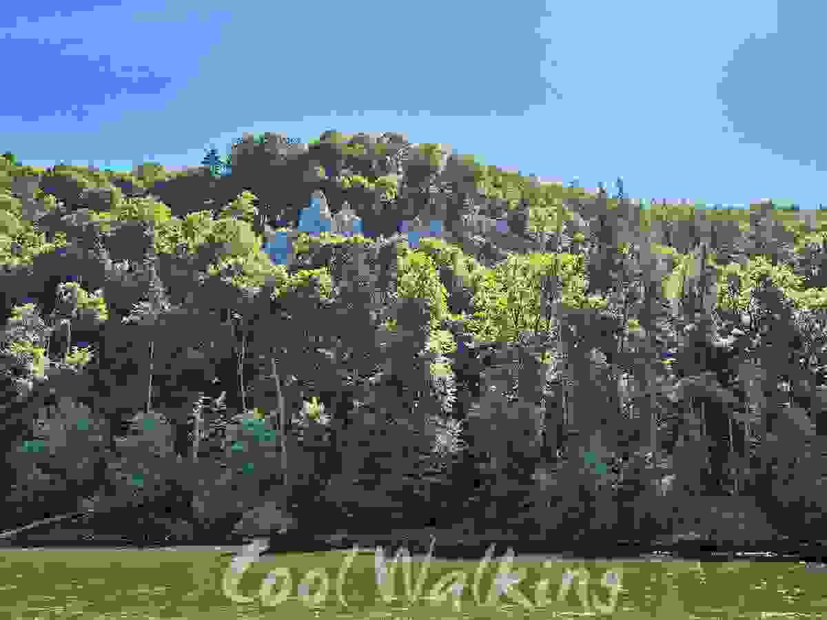 Section image