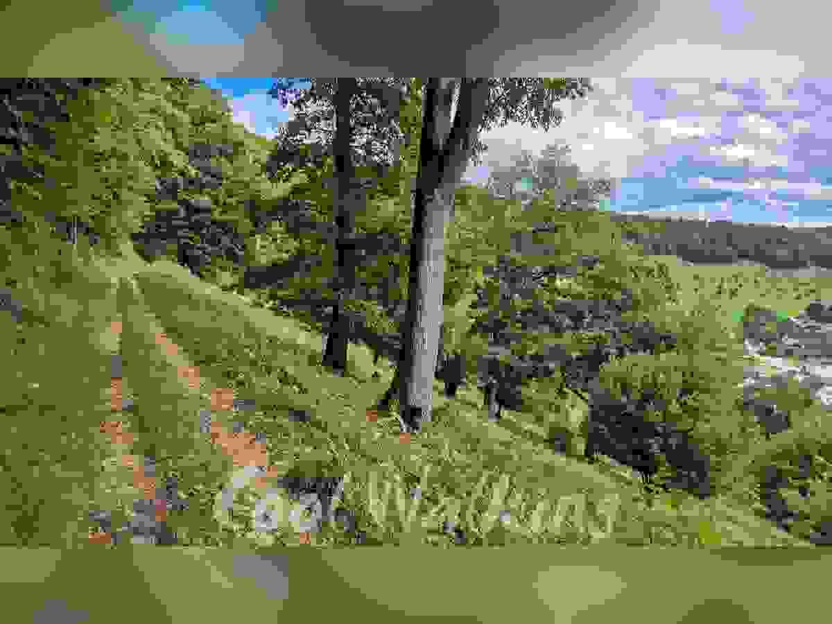 Section image