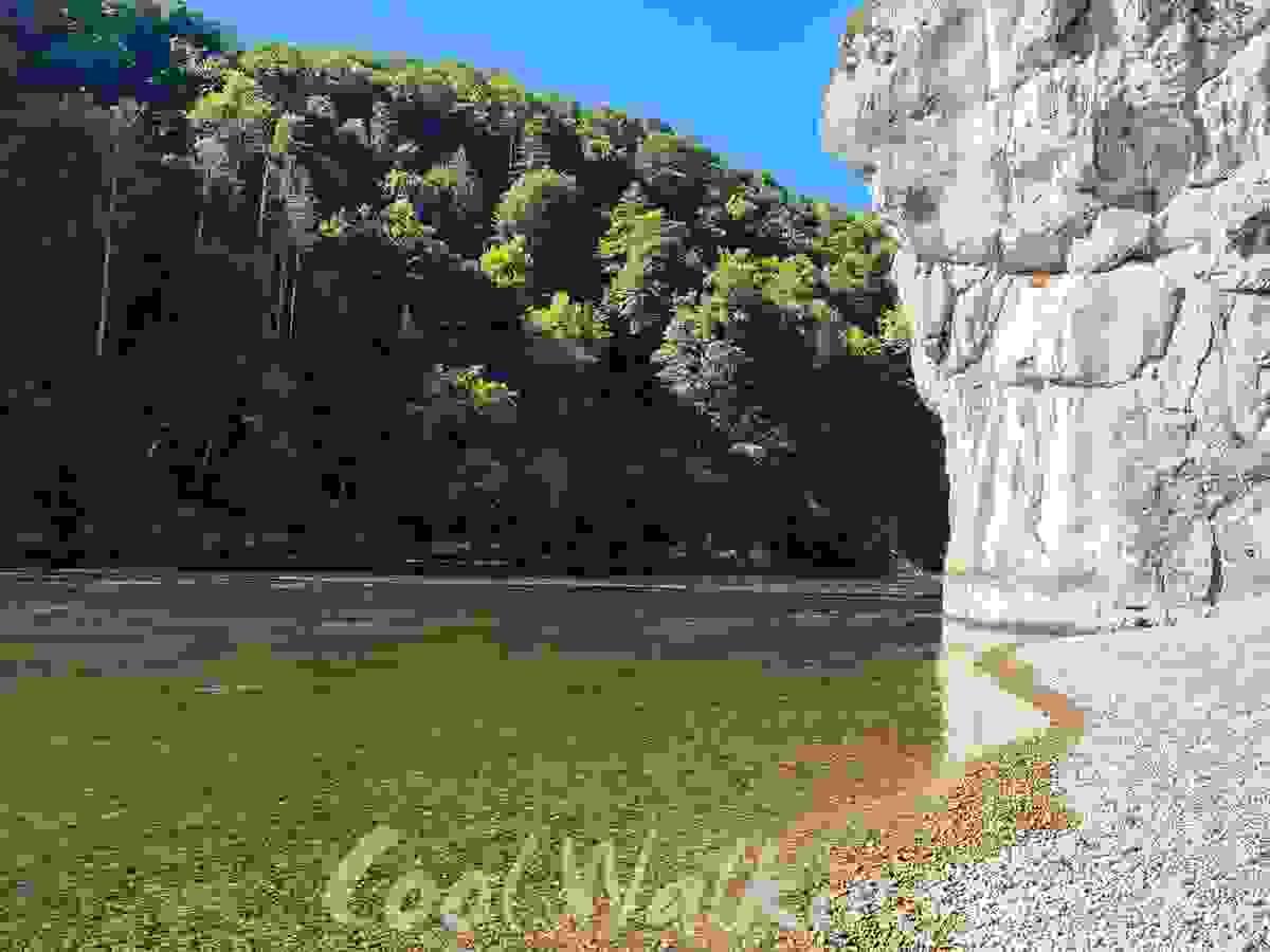 Section image