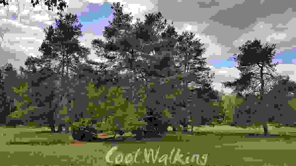 Fernwanderweg E1 Niedersachsen, Heidschnuckenweg, Misselhorner Heide, Cool Walking