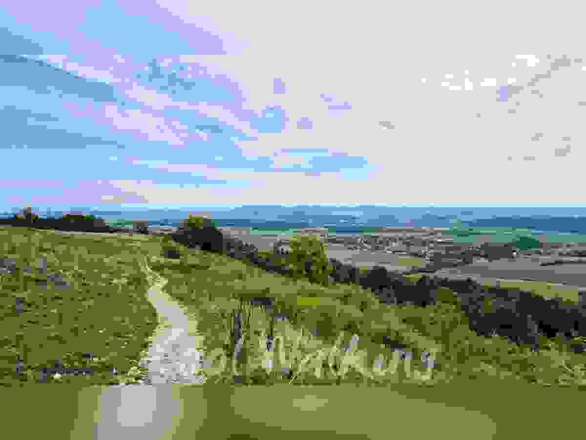 Section image