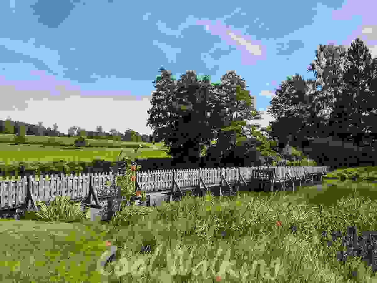 Section image