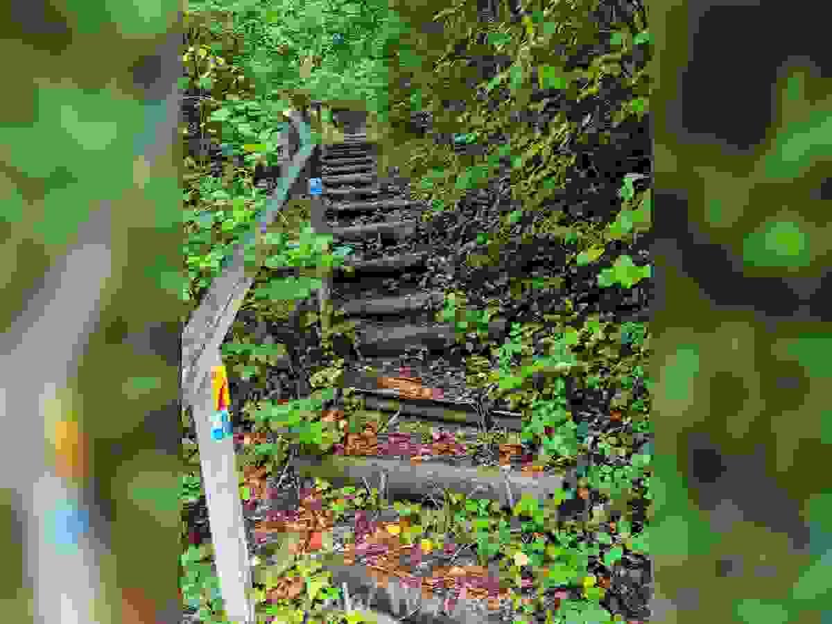 Section image