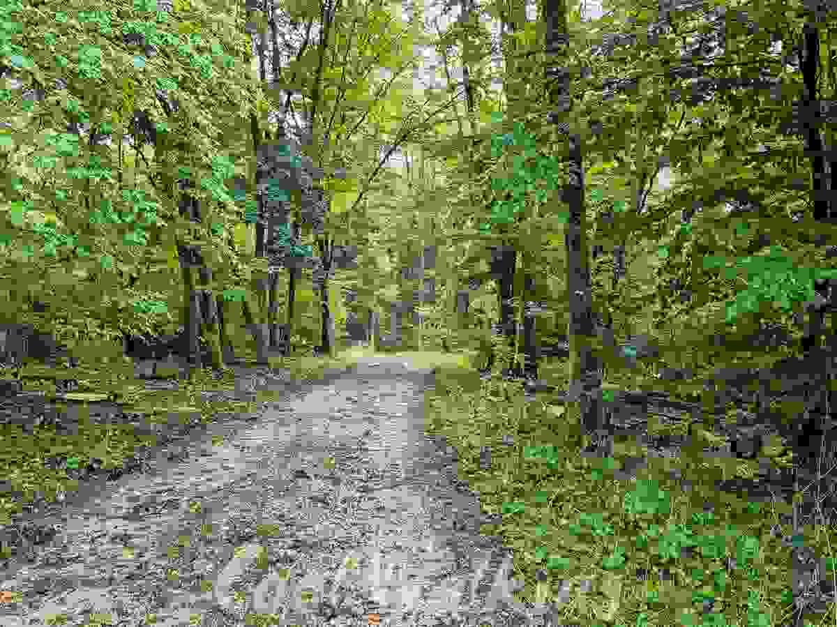 Section image