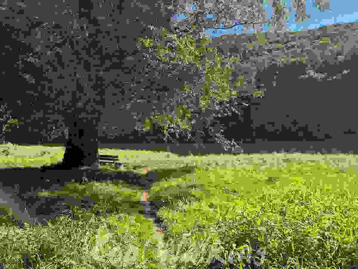 Section image