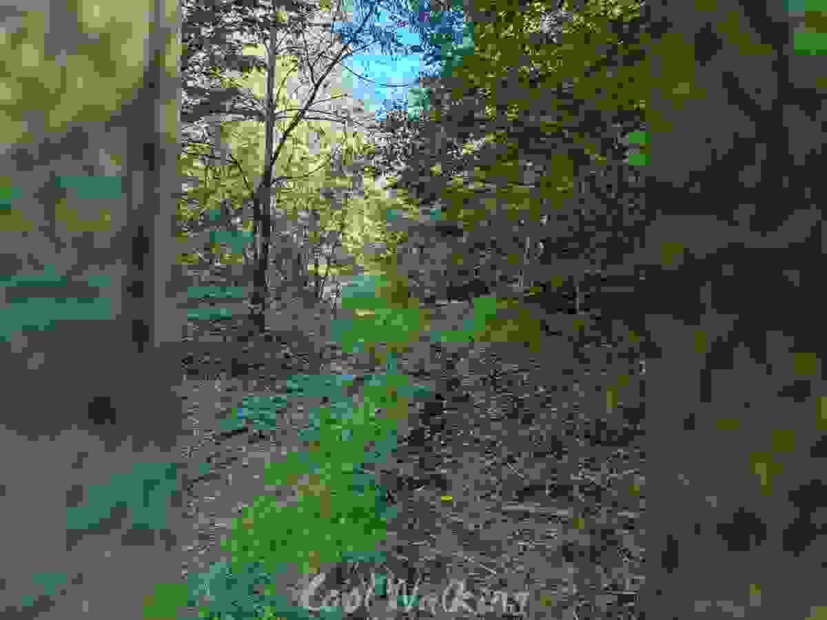 Section image