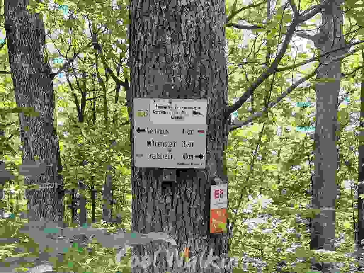 Section image