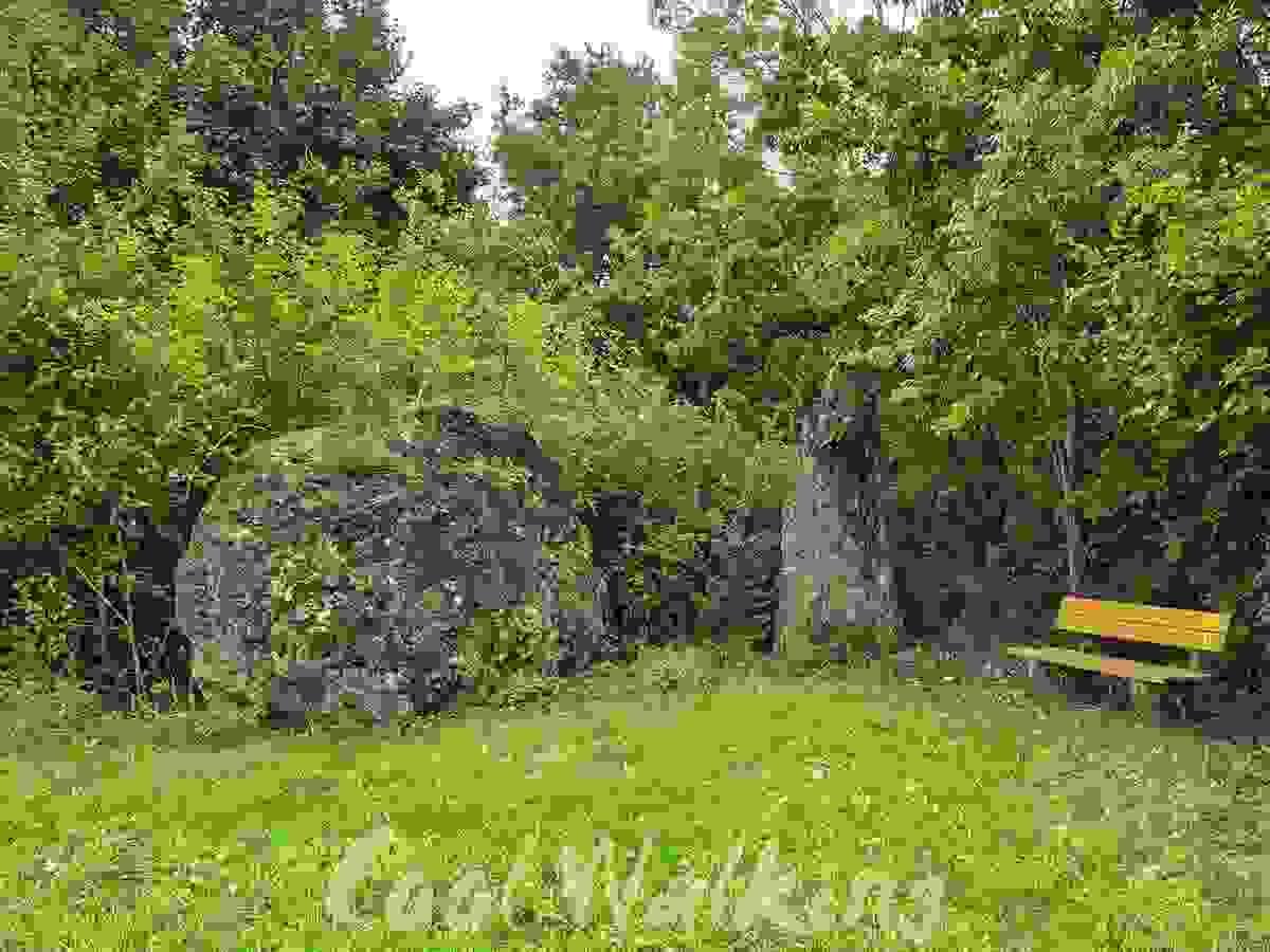 Section image