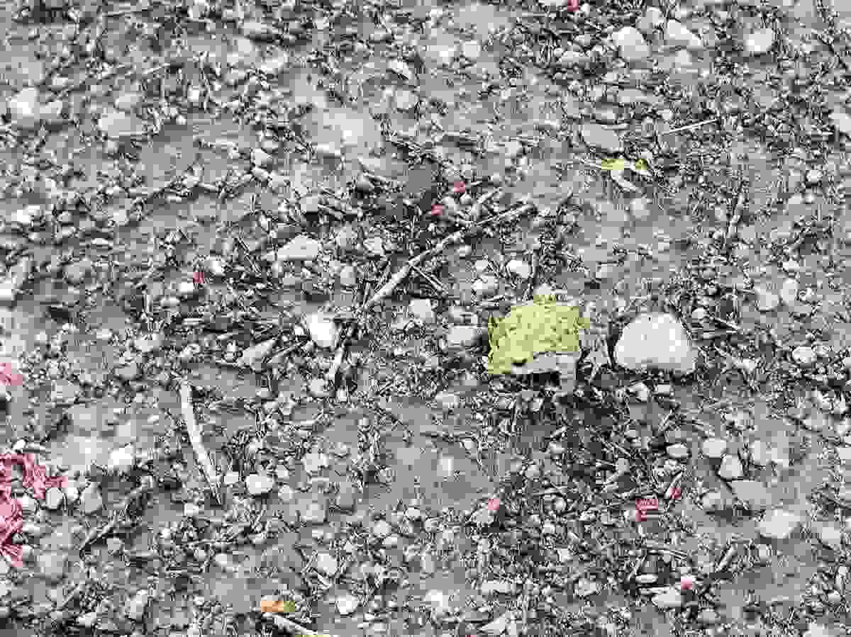 broken image