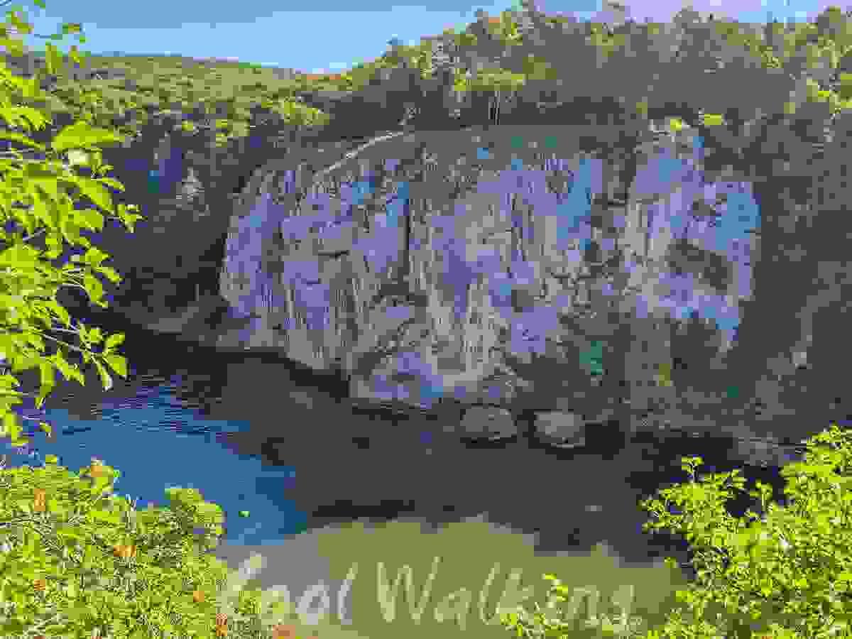 Section image