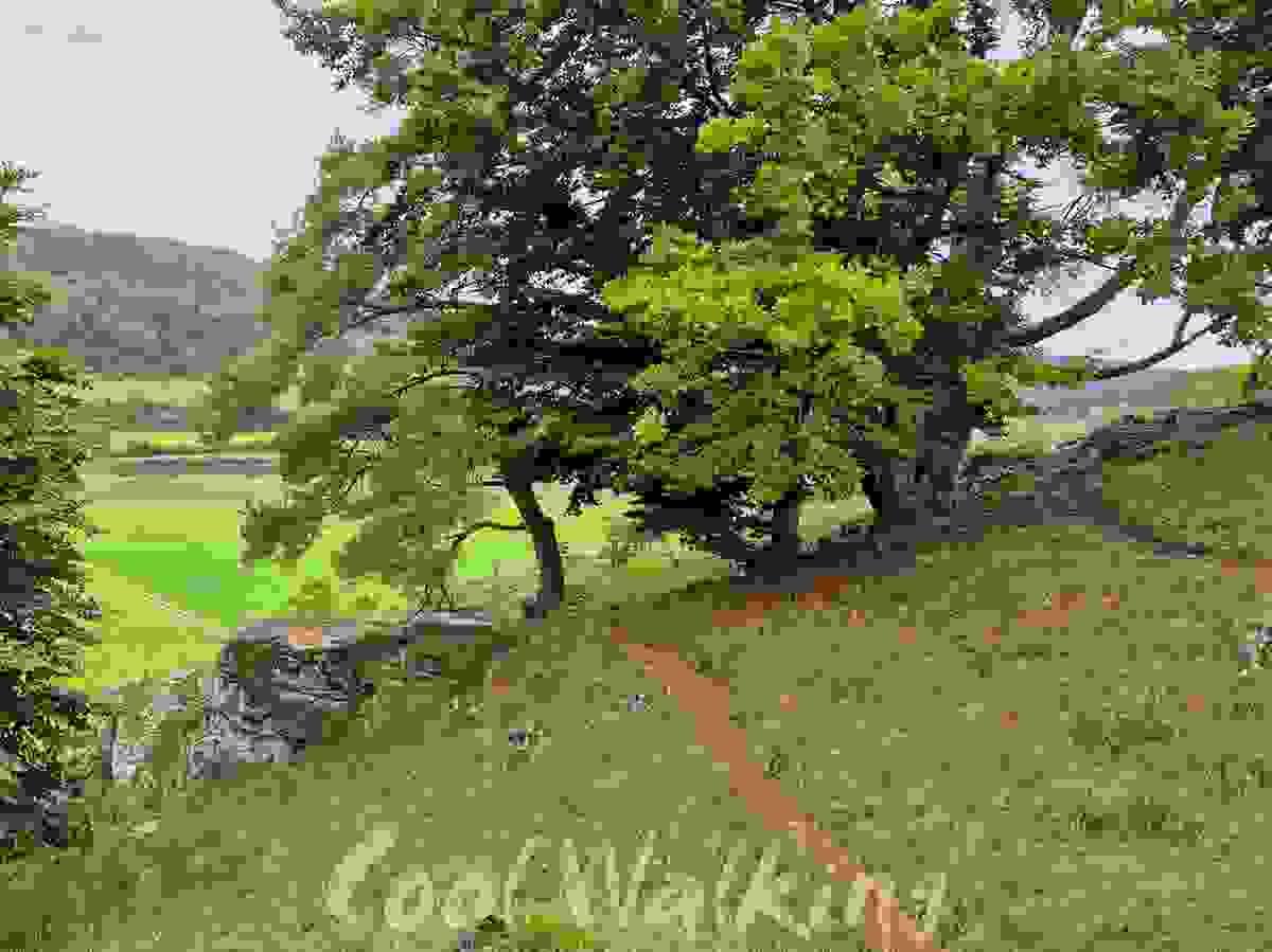 Section image