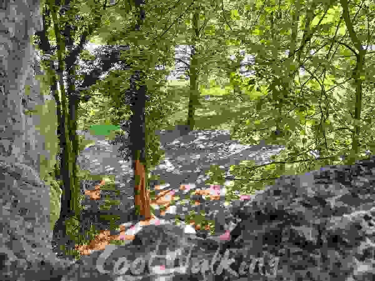 Section image