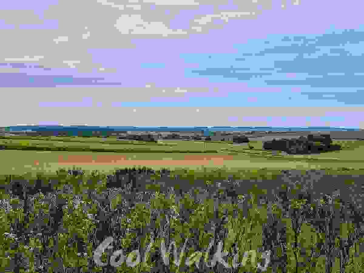 Section image