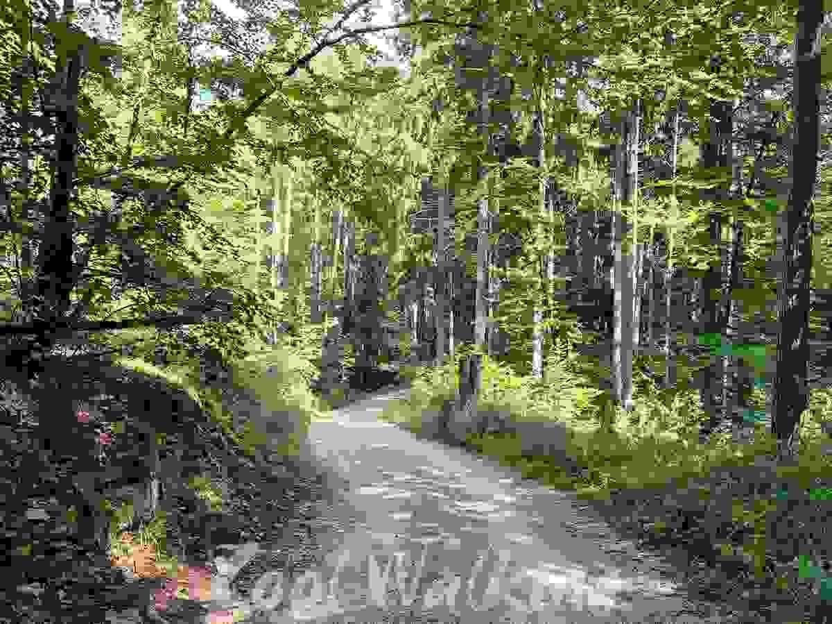 Section image