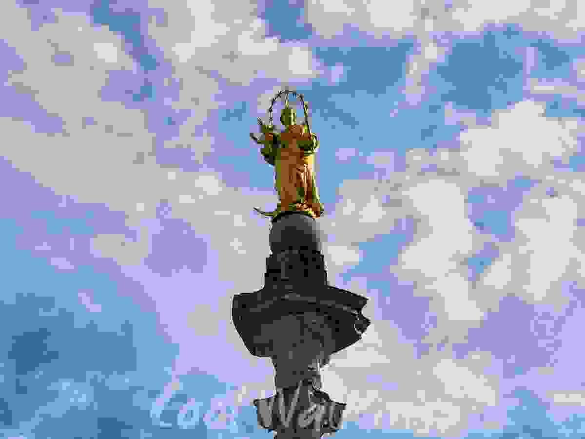 Section image