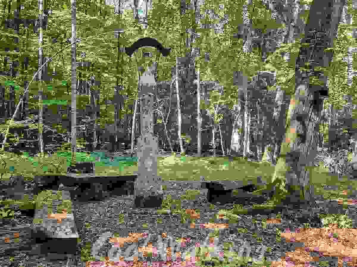 Section image