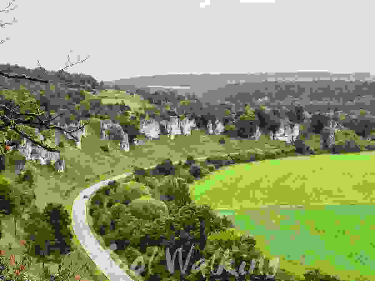 Section image
