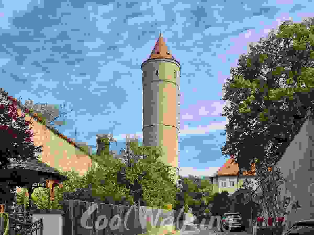 Section image