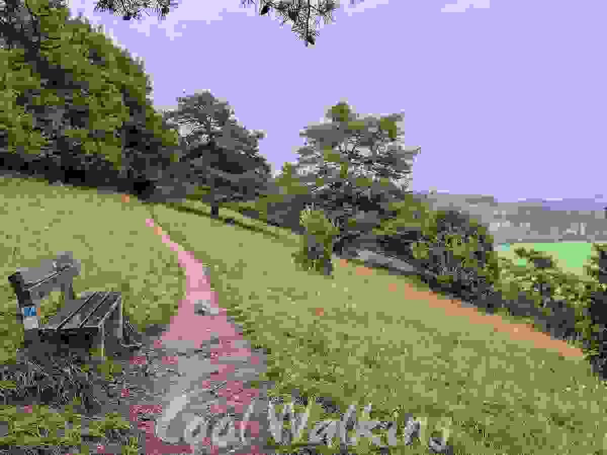 Section image
